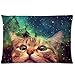 InterestPrint Custom Funny Cat in Galaxy Space Zippered Pillowcase 20 X 30 Inch (Twin Side) , Nebula Universe Star with Kitten Pillow Case Cover