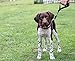 Leashboss Short Dog Leash for Dog Training | Padded Traffic Handle Short Leash for Dog Training, Total Comfort when Dog Walking | Traffic Leash for Dogs Large, Medium, Small | Short Nylon Dog Lead