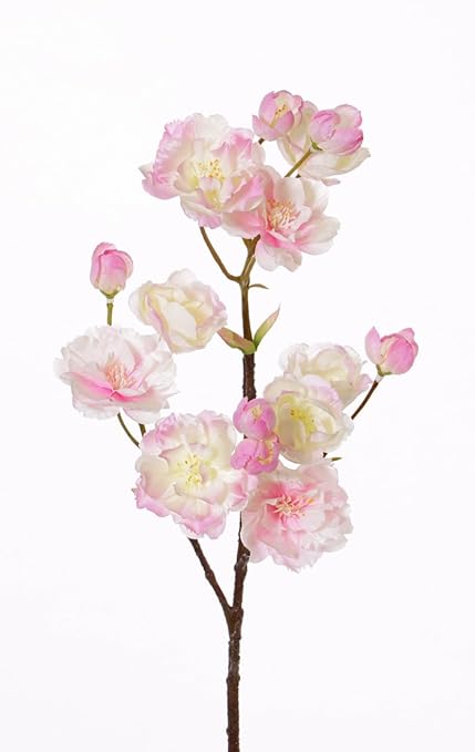 artplants Künstliche Japanische Blütenkirsche Shima, 9 Blüten, rosa-weiß, 55 cm - Kunstzweig/Deko Zierkirsche