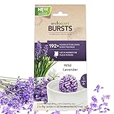 Enviroscent Bursts Aroma Diffusers, Wild Lavender Fragrance, Bag of 3