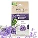 Enviroscent Bursts Aroma Diffusers, Wild Lavender Fragrance, Bag of 3