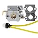 Hipa 753-05133 Carburetor with Gasket for MTD Troy-Bilt TB10CS TB20CS TB20DC TB310QS TB320BV TB65SS TB70FH TB70SS TB90BC MS2550SE MS2560SE WH25CS WH80BC Y780 YM20CS Gas Trimmer primary