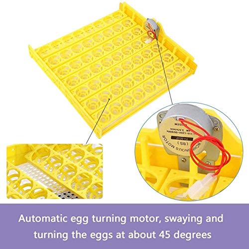 LYRONG Inkubator, Vollautomatische Brutmaschinen, Automatisches Eierdrehen, Temperatur und Feuchtigkeitsregulierung, für… – Bild 6
