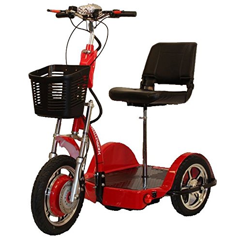 sit and stand scooter