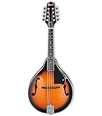 Amazon.com: Epiphone MM-30S 