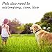 MAOMAO Dog Rope Toy Durable Chew Knot Ball for Aggressive Puppy Pets(Pack of 3)-2