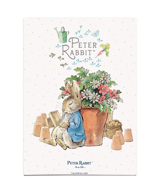 Fridge Magnet (65 x 90 mm) - Beatrix Potter - Peter Rabbit Sleeping by Flower Pots