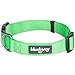 Blueberry Pet Essentials Small Dog Collar in Neon Green | Adjustable & Eco-Friendly Durable Nylon Strap | Classic Collar for Small Dogs, Boy & Girl Pets