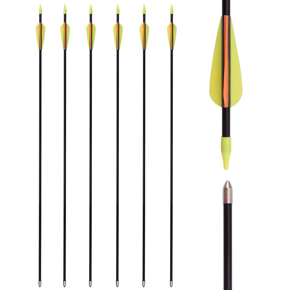 32 Inch Fiberglass Arrows Archery Recurve Bow Practice Target Safety for Beginners Kids Youth Arrows Outdoor (Pack of 6)