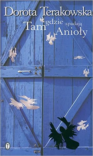 Tam Gdzie Spadaja Anioly 9788308039670 Amazon Com Books
