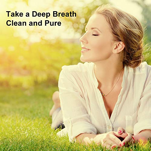 WoodyKnows Ultra-Breathable Nasal Filters, Advanced Nose Mask for Allergy Relief, Invisible Respirator, Super Breathability, Nasal Spray Mate - Thumbnail 2