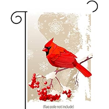 uHome Red Cardinal Bird Garden Flag, Winter Snow Background, Double-Sided, Winter/Christmas Yard Flag to Bright Up Your Garden 12.5