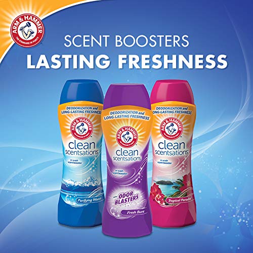 Arm & Hammer inWash Scent Booster, SunKissed Flower, 24 oz (6 Pack