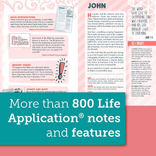 NLT Girls Life Application Study Bible (LeatherLike, Seafoam Teal/Pink Flowers) NLT Girls Life Application Study Bible (LeatherLike, Seafoam Teal/Pink Flowers) NLT Girls Life Application Study Bible (LeatherLike, Seafoam Teal/Pink Flowers) Imitation Leather
