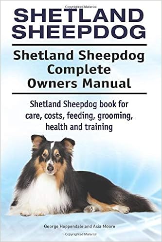 Shetland Sheepdog. Shetland Sheepdog Complete Owners Manual. Shetland Sheepdog book for care, costs, feeding, �y�[�p�[�o�b�N - 2016/10/4