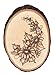 Walnut Hollow Basswood Round, Small 5-7