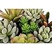 MyGift 6-Inch Decorative Black Glazed Tabletop Round Ceramic Planter Pot with Assorted Artificial Succulents