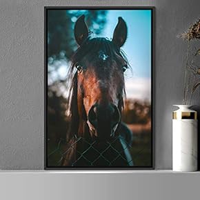 signwin Framed Canvas Wall Art Horse Animals Dramatic...