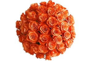 GlobalRose 100 Orange Roses Bouquet - Responsibly Sourced Roses Fresh Flowers - Hand-Picked Flowers Fresh Bouquet for Graduation, Anniversary, Birthday & Special Occasions (4 Bunches of 25 Stems)