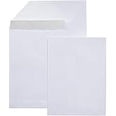 �鶹��Basics Catalog Mailing Envelopes, Peel & Seal, 9x12 Inch, White, 250-Pack - AMZA33