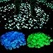 Qable Powerz 200 PCS Glow in The Dark Pebbles, Glow in The Dark Garden Pebbles Decorative Glow Stones Path Lights Outdoor Gravel Stones for Walkways, Garden, Yard, DIY Outdoor Decor (Blue, Green)