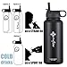 the flow Stainless Steel Water Bottle Double Walled/Vacuum Insulated - BPA/Toxin Free – Wide Mouth with Straw Lid, Carabiner Lid and Flip Lid, 32 oz.(1 Liter) (S/pacific blue, 18oz)