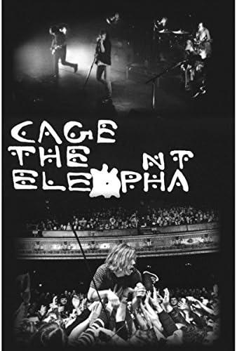 Cage The Elephant Domestic Poster