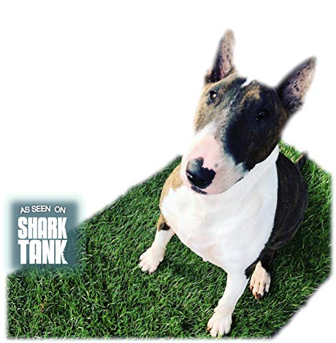 fresh patch training