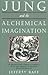 Jung and the Alchemical Imagination (Jung on the Hudson Book Series) by