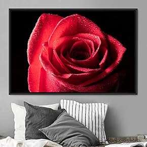 signwin Framed Canvas Wall Art Flora Snapshot Closeup...