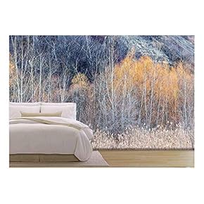Background Nature Landscape of Bare Trees and Grasses in Winter Ravine - Removable Wall Mural | Self-Adhesive Large Wallpaper - 66x96 inches
