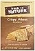 Back to Nature Non-GMO Crackers, Crispy Wheat, 8 Ounce