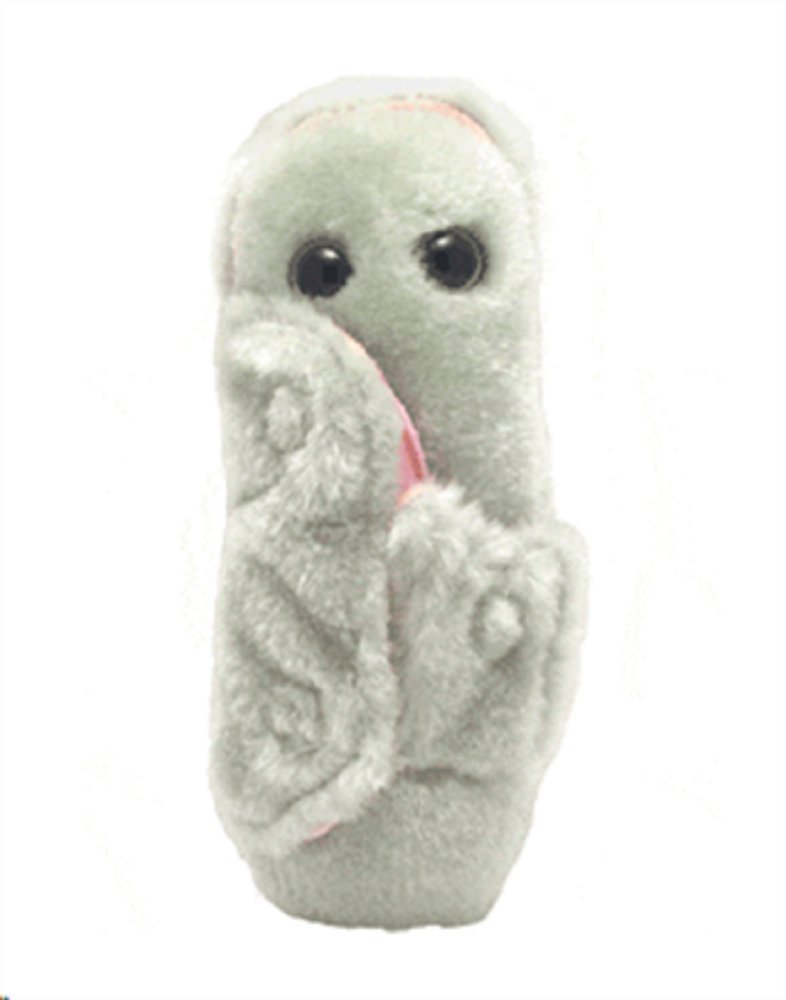 yersinia pestis plush