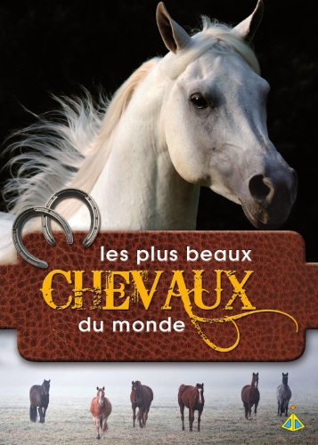 au pays des cow-boys