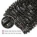 Rolisy Kinkys Curly Clip in Hair Extensions Afro 3C 4A Kinky Curly Clip ins Real 8A Brazilian Remy Hair for Black Women Double Lace Wefts Hair,Natural Black Color,10 Pcs,120 Gram,24 Inch