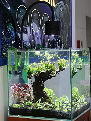 Lominie LED Aquarium Light, Freshwater Planted Tank Light Asta 120 Clamp Clip Lamp for Refugium Algae Fish Tank 24inch with Gooseneck