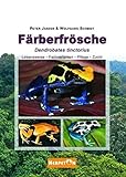 Färberfrösche: Lebensweise, Farbvarianten, Pflege und Zucht by 