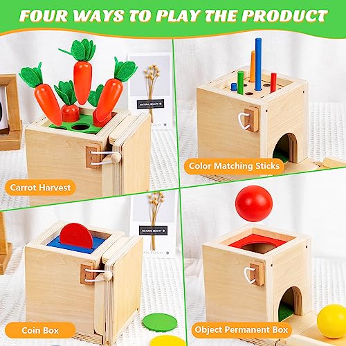 Quanquer Montessori Toys for 3 Year Old 4 in 1 Wooden Play Kit Object