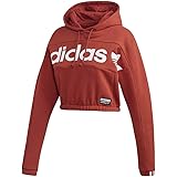 adidas originals women's vocal cropped graphic hoodie