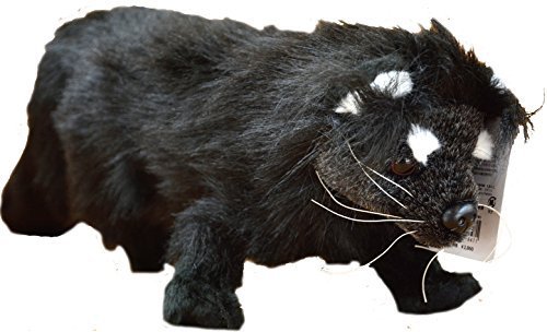 binturong plush