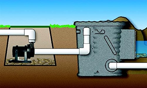 Little Giant 566135 Flex Pump, 6000-Gallons