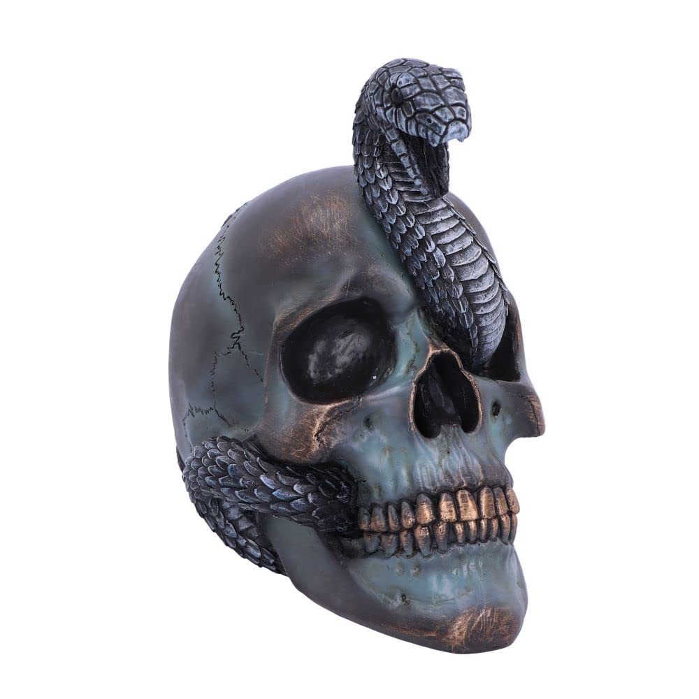 Nemesis Now Serpentine Fate Skull, Grey, 19cm