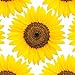 Duck Brand 284576 Printed Duct Tape Single Roll, 1.88 Inches x 10 Yards, Sunflower