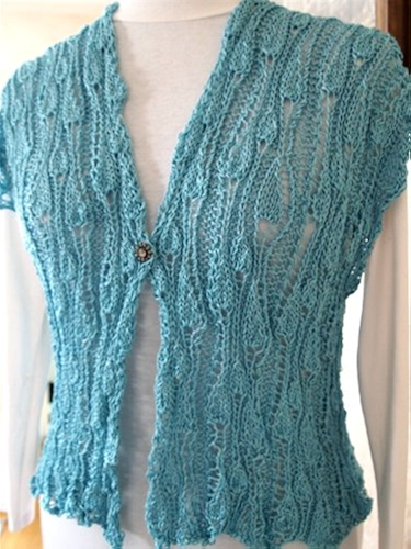 Download VineYard Vest Hand Knitting Pattern (English Edition) PDF