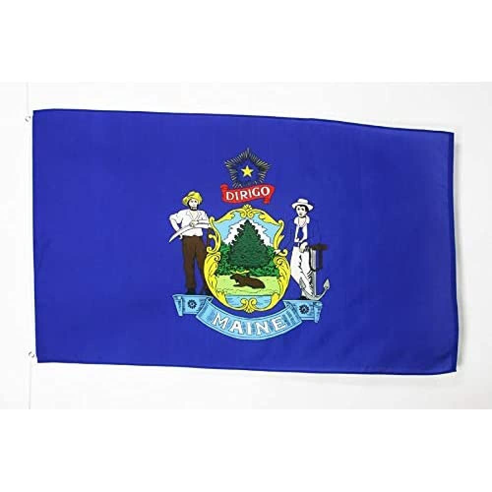 AZ FLAG - Maine Flag - 2x3 Ft - 100D Polyester Us State Of Maine Banner with Two Metal Grommets - Fade Resistant - Vivid Colors - 2' x 3' Feet - 90x60 Cm — image 1