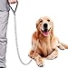 Pettom Dog Chain Leash Metal Dog Lead Training Steel Rope Heavy Duty Chew Proof Leash with Padded Handle for Medium Large Dogs (4' /2.0mm Small Chain)