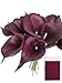 Angel Isabella Real Touch Calla Lily Artificial Flowers — Perfect for a Wedding, Prom, Christmas or Home Decor — Great as a Boutonniere, Corsage or Centerpiece - 10 Stems, Rustic Burgundy