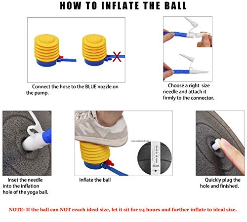 2 BalanceFrom+Anti+Burst+Resistant+Exercise+000+Pound