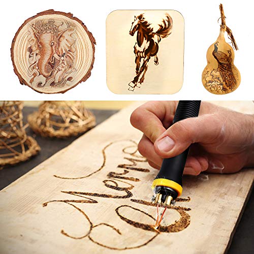 Upgraded Wood Burning Kit Temperature Adjustable Pyrography Machine
