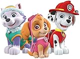 PAW Patrol - Everest Skye Marshall - Iron On Heat Transfer 7.5